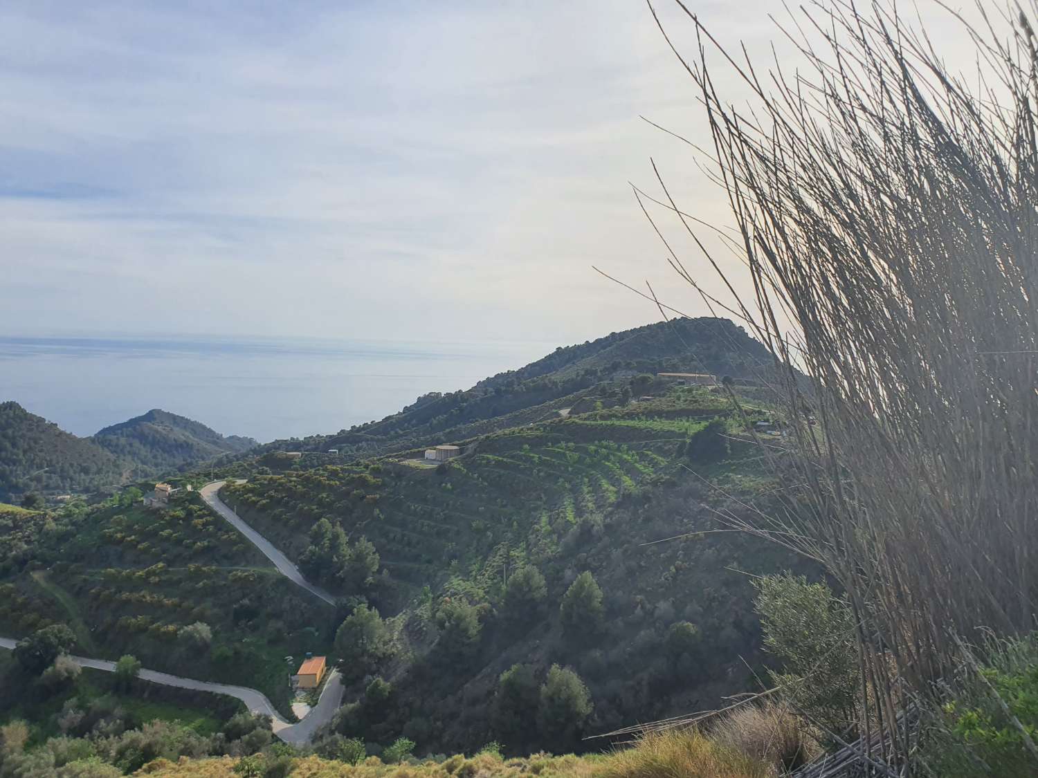 Parcelle en vente à Nerja