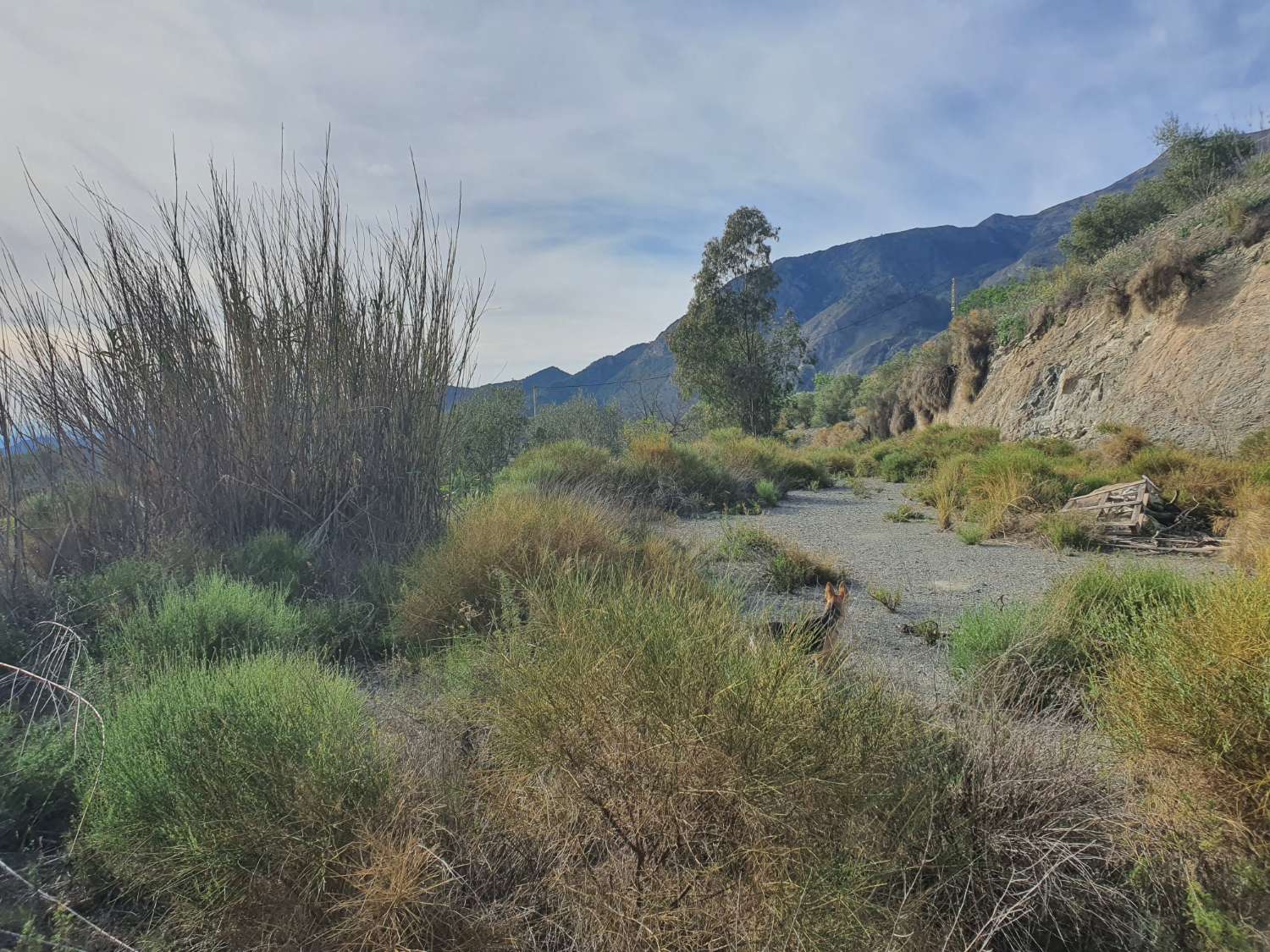 Parcelle en vente à Nerja