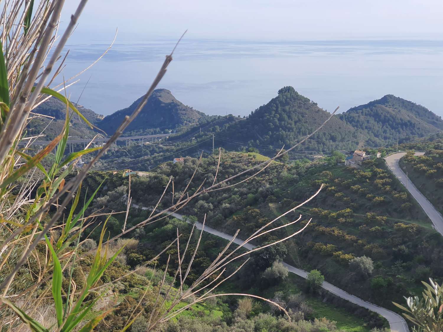 Parcelle en vente à Nerja