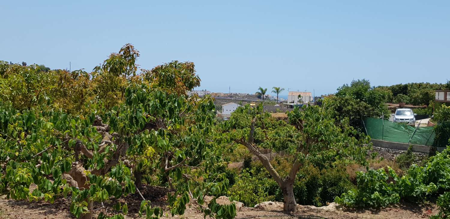 Hus hyra semesterbostad i Nerja