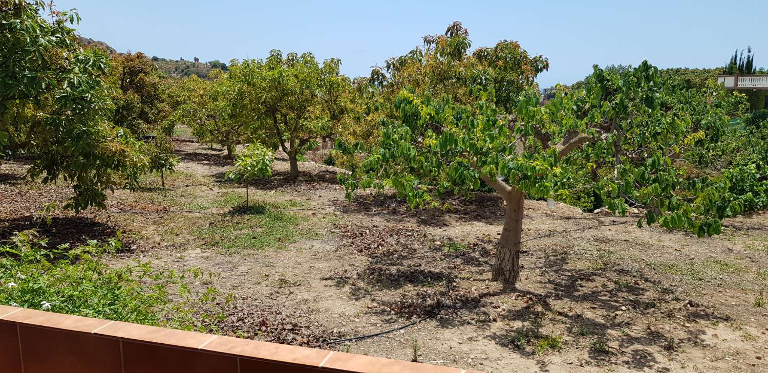 Hus hyra semesterbostad i Nerja