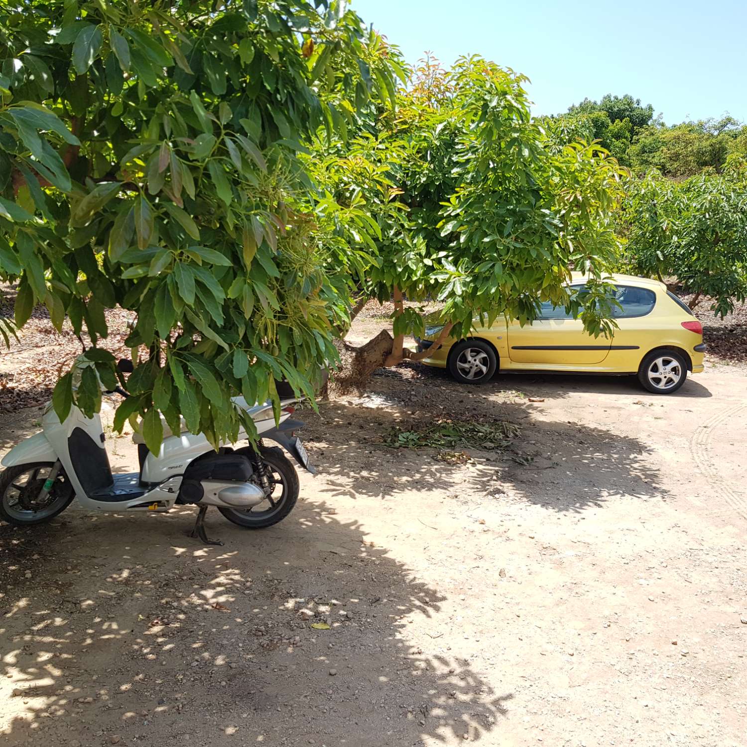 TRANQUILA CASA DE CAMPO CON PISCINA PORTATIL