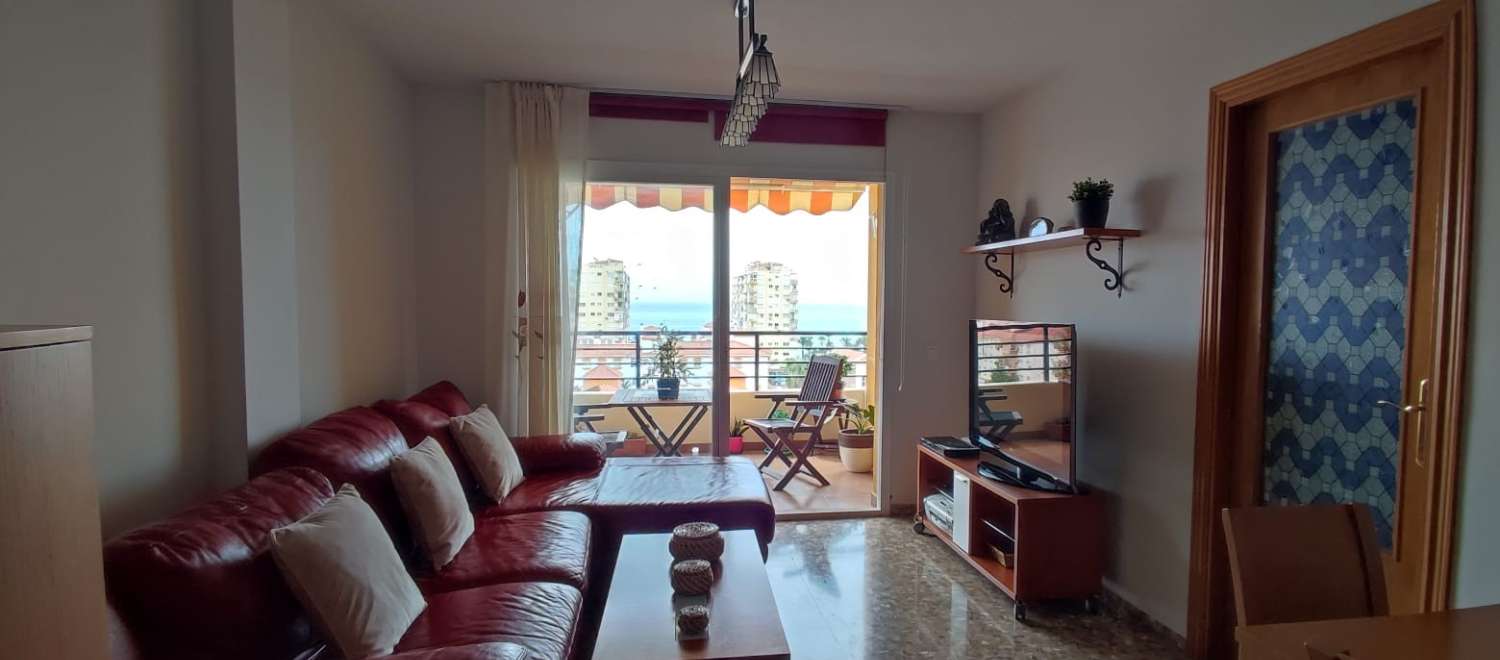 Apartment for holidays in Algarrobo