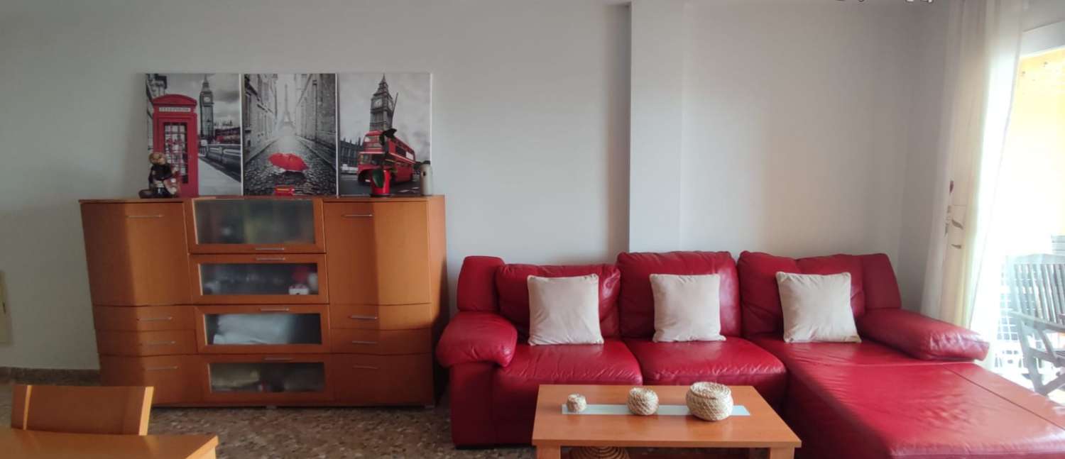 Apartment for holidays in Algarrobo